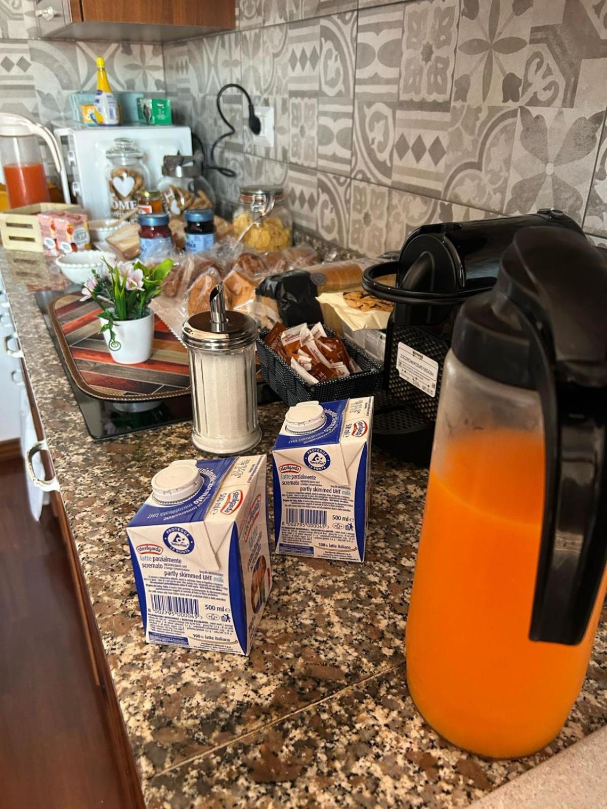 I 4 Mori Bed & Breakfast Fiumicino Dış mekan fotoğraf