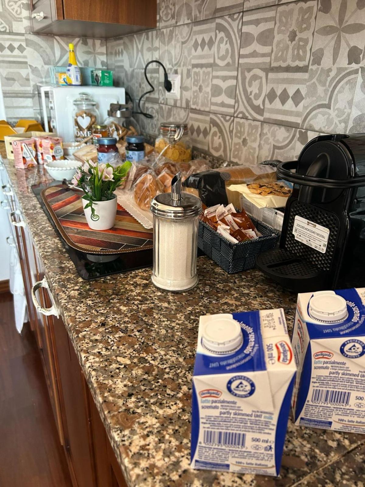 I 4 Mori Bed & Breakfast Fiumicino Dış mekan fotoğraf